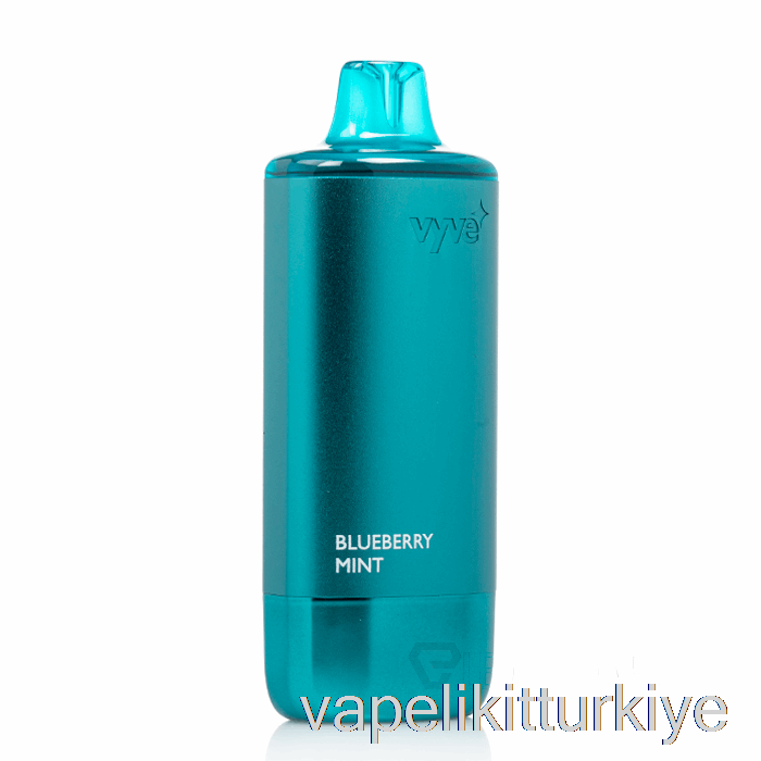 Vape Elektronik Sigara Vyve 10000 Tek Kullanımlık Yaban Mersini Nane